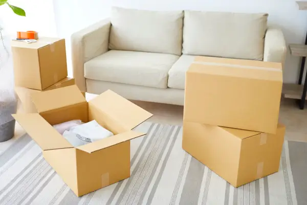 Objetos com Caixas de Papelão é uma ótima saída para fazer um artesanato sustentável