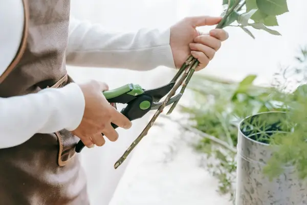 uma mulher em uma oficina verde preparando materiais para artesanto