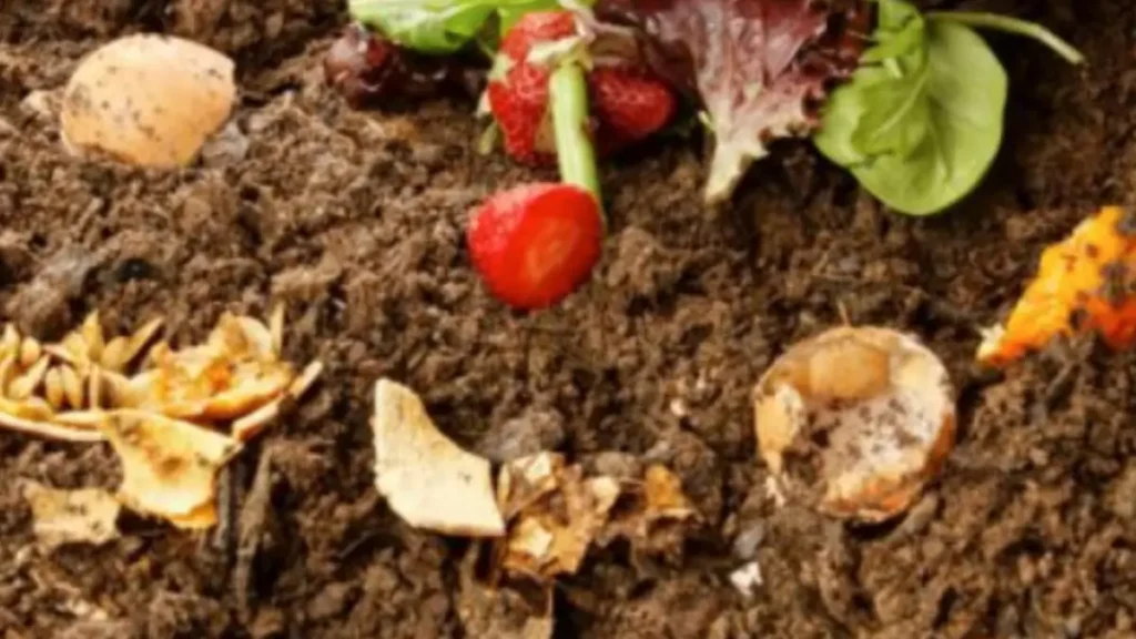 Adubação Natural Como Fazer em Casa com Resíduos Orgânicos