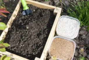 Adubação Natural Como Fazer em Casa com Resíduos Orgânicos