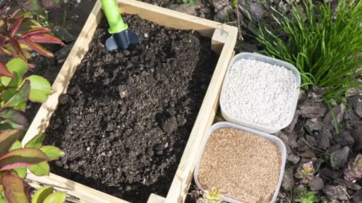 Adubação Natural Como Fazer em Casa com Resíduos Orgânicos