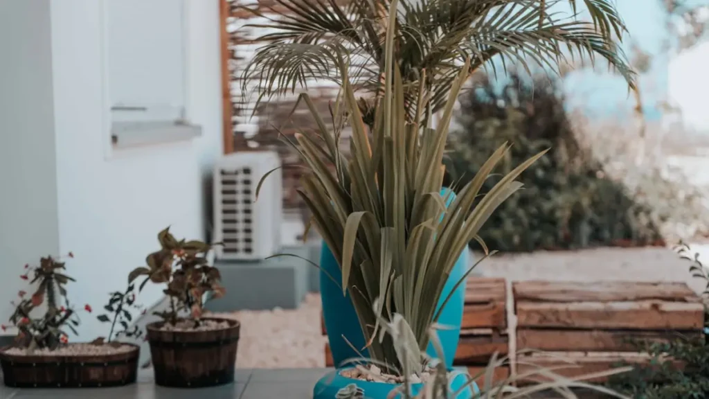 Elementos Essenciais no Paisagismo Residencial