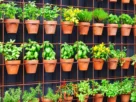 Horta Vertical