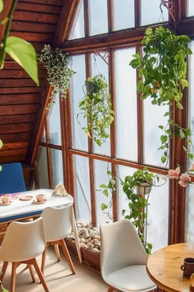 Jardim de Inverno