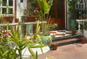 Plantas Ornamentais