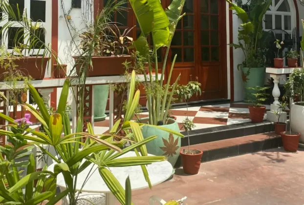 Plantas Ornamentais