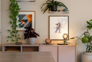 Plantas Para Apartamento Pequeno