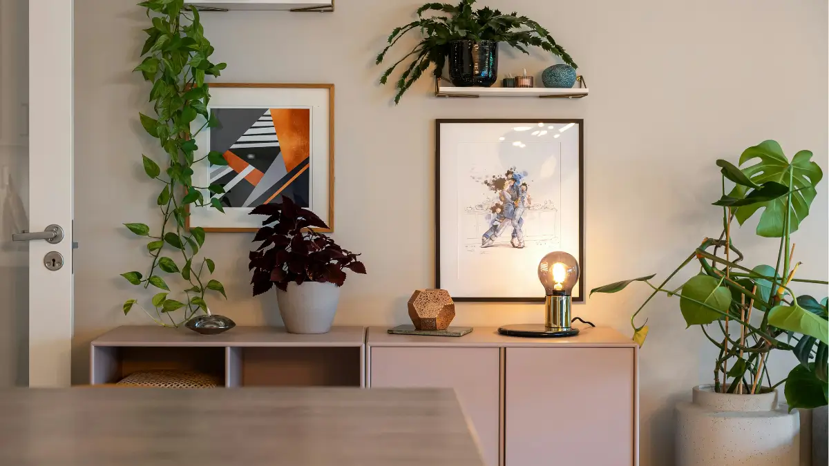 Plantas Para Apartamento Pequeno