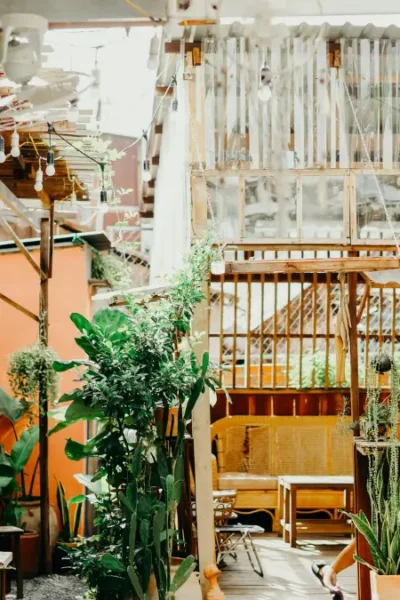 Plantas de Sombra
