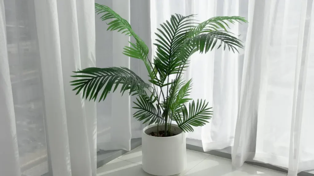 Por que apostar em plantas para apartamento pequeno