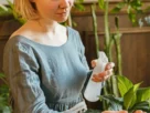 Regar Plantas