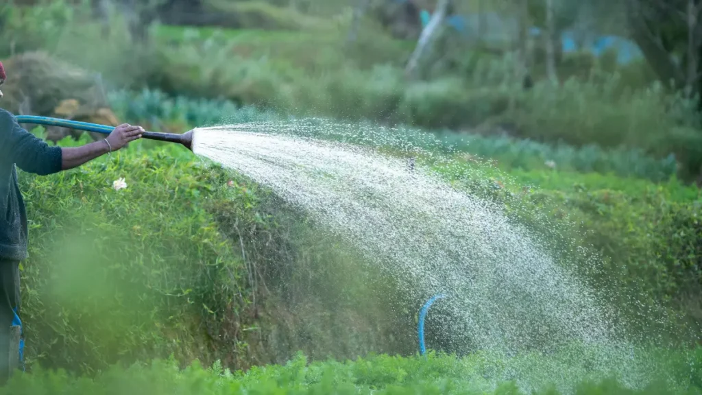 Tipos de Irrigação de Jardins