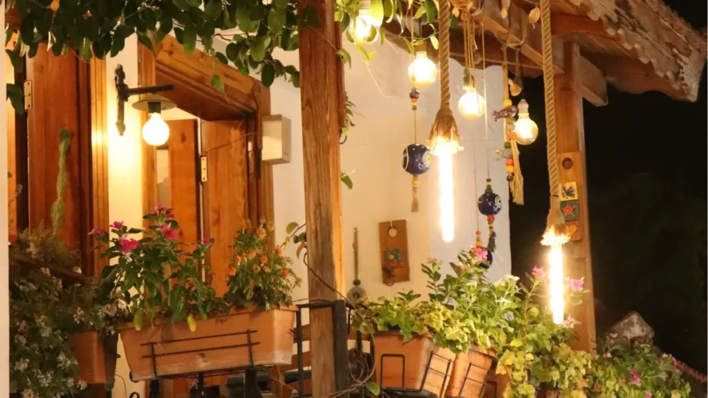 ideias criativas com plantas ornamentais
