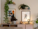 plantas ornamentais para sala