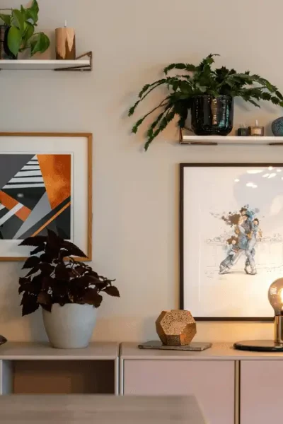 plantas ornamentais para sala
