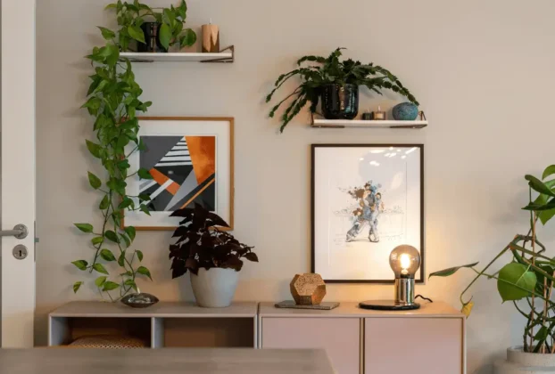plantas ornamentais para sala