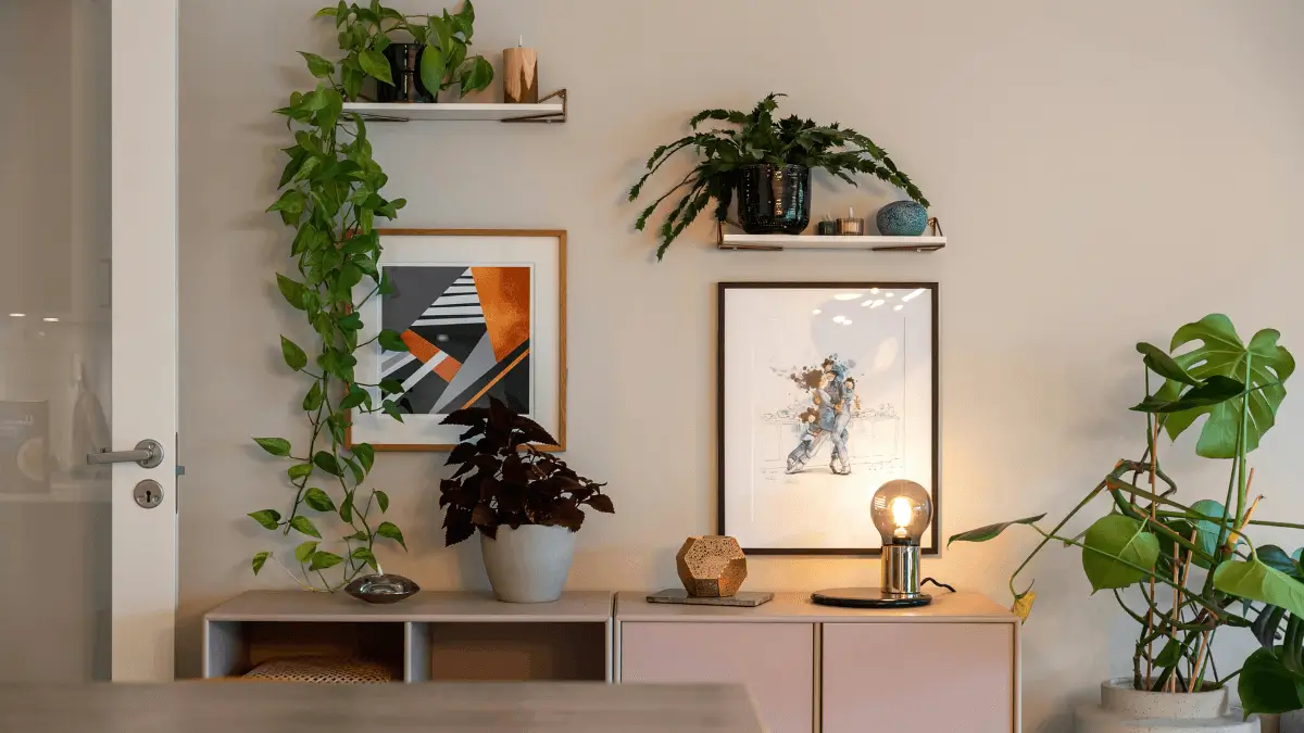plantas ornamentais para sala